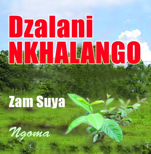 Dzalani Khalango (Prod. Gibb Music)